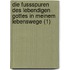 Die Fussspuren Des Lebendigen Gottes in Meinem Lebenswege (1)