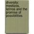 Diversity: Mestizos, Latinos and the Promise of Possibilities
