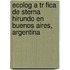 Ecolog a Tr Fica de Sterna Hirundo En Buenos Aires, Argentina