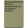 Glaubenslehrjahre Eines Im Protestantismus Erzogenen Christen door Wilhelm Gustav Werner Volk