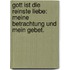 Gott ist die reinste Liebe: Meine Betrachtung und mein Gebet.