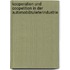 Kooperation und Coopetition in der Automobilzulieferindustrie