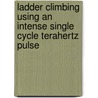 Ladder Climbing using an intense single cycle terahertz pulse door Mukesh Jewariya