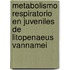 Metabolismo respiratorio en juveniles de Litopenaeus vannamei