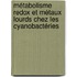 Métabolisme redox et métaux lourds chez les Cyanobactéries