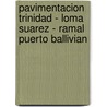Pavimentacion Trinidad - Loma Suarez - Ramal Puerto Ballivian by Juan Pablo Duran Diaz