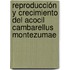 Reproducción y crecimiento del acocil Cambarellus montezumae
