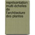 Représentation multi-échelles de l'architecture des plantes