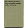 Theorie Der Partiellen Differentialgleichungen Erster Ordnung by M. Paul Mansion
