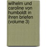 Wilhelm Und Caroline Von Humboldt in Ihren Briefen (Volume 3) door Wilhelm Humboldt