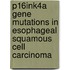 P16ink4a Gene Mutations In Esophageal Squamous Cell Carcinoma