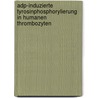 Adp-Induzierte Tyrosinphosphorylierung in Humanen Thrombozyten by Hardy Schweigel