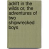Adrift in the Wilds or, The Adventures of Two Shipwrecked Boys by Edward Sylvester Ellis