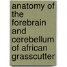 Anatomy of the Forebrain and Cerebellum of African Grasscutter door Byanet Obadiah