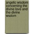 Angelic Wisdom Concerning the Divine Love and the Divine Wsdom