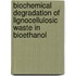 Biochemical Degradation of lignocellulosic waste in bioethanol
