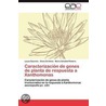 Caracterización de genes de planta de respuesta a Xanthomonas door Lucas Daurelio
