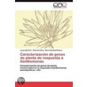Caracterización de genes de planta de respuesta a Xanthomonas by Lucas Daurelio