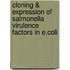 Cloning & Expression of Salmonella Virulence Factors in E.coli