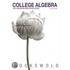College Algebra with Modeling & Visualization with Access Code