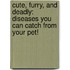 Cute, Furry, And Deadly: Diseases You Can Catch From Your Pet!