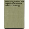 Effect of Pyrethroid and Organophosphate on the Histopathology by Dr Muhammad Zaheer Khan