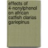 Effects of 4-Nonylphenol on African Catfish Clarias gariepinus