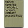 Efficient numerical methods to compute unsteady subsonic flows door Peter Lucas