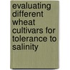 Evaluating Different Wheat Cultivars for Tolerance to Salinity door Latafat Parveen