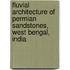 Fluvial Architecture Of Permian Sandstones, West Bengal, India