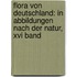Flora Von Deutschland: In Abbildungen Nach Der Natur, Xvi Band