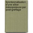 Fonctionnalisation d'une silice mésoporeuse par post-greffage