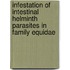 Infestation of Intestinal Helminth Parasites in Family Equidae