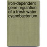 Iron-dependent Gene Regulation of a Fresh Water Cyanobacterium door Daniel Pietsch