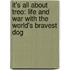 It's All about Treo: Life and War with the World's Bravest Dog
