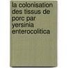 La colonisation des tissus de porc par Yersinia enterocolitica by Valérie Thibodeau