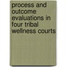 Process and Outcome Evaluations in Four Tribal Wellness Courts door Karen Gottlieb