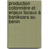 Production cotonnière et enjeux locaux à Banikoara au Bénin by Fabien Affo