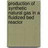 Production of synthetic natural gas in a fluidized bed reactor by Jan Kopyscinski