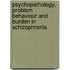 Psychopathology, problem behaviour and burden in schizophrenia