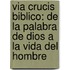 Via Crucis Biblico: de La Palabra de Dios a la Vida del Hombre