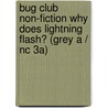 Bug Club Non-fiction Why Does Lightning Flash? (grey A / Nc 3a) door Angela Rovston