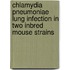 Chlamydia pneumoniae Lung Infection in Two Inbred Mouse Strains
