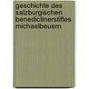 Geschichte Des Salzburgischen Benedictinerstiftes Michaelbeuern door Michael Filz