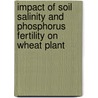 Impact of Soil Salinity and Phosphorus Fertility on Wheat Plant door Enas Mohamed Wagdi