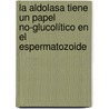 La aldolasa tiene un papel no-glucolítico en el espermatozoide door Natalia Chiquete Felix