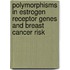 Polymorphisms in Estrogen Receptor Genes and Breast Cancer Risk
