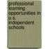 Professional Learning Opportunities in U.S. Independent Schools