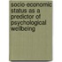 Socio-Economic Status as a Predictor of Psychological Wellbeing