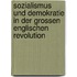 Sozialismus Und Demokratie in Der Grossen Englischen Revolution